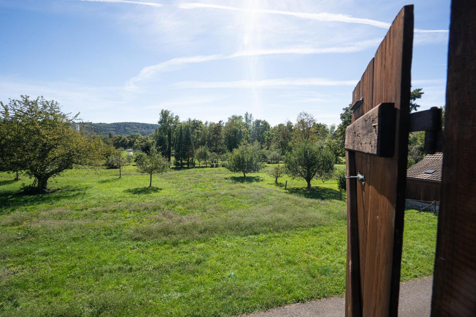 Tiny House Chez Claudine - Relaxen, Workspace, Naehe Thermen, Netflix, Free Parking & Wifi Бругг Екстер'єр фото